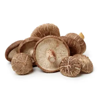 Natural Mushroom